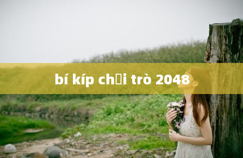 bí kíp chơi trò 2048