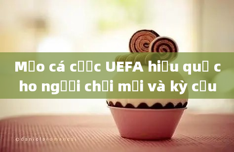 Mẹo cá cược UEFA hiệu quả cho người chơi mới và kỳ cựu