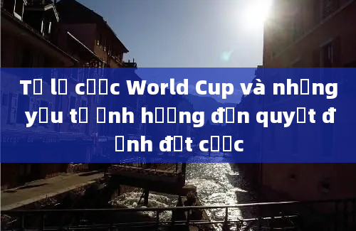 Tỷ lệ cược World Cup và những yếu tố ảnh hưởng đến quyết định đặt cược