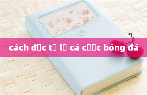 cách đọc tỷ lệ cá cược bóng đá