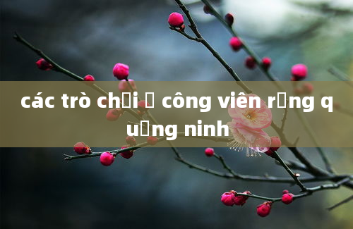 các trò chơi ở công viên rồng quảng ninh