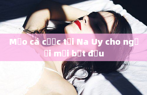 Mẹo cá cược tại Na Uy cho người mới bắt đầu