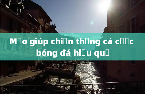 Mẹo giúp chiến thắng cá cược bóng đá hiệu quả