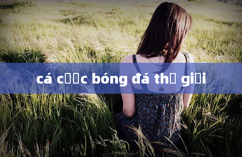 cá cược bóng đá thế giới