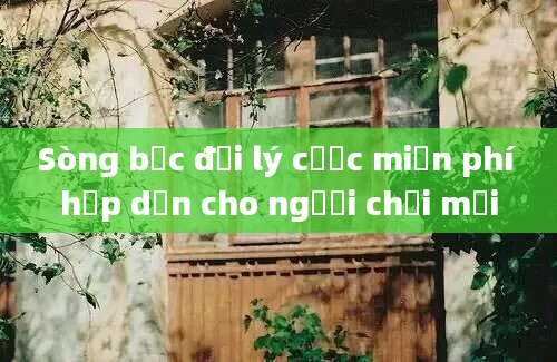 Sòng bạc đại lý cược miễn phí hấp dẫn cho người chơi mới