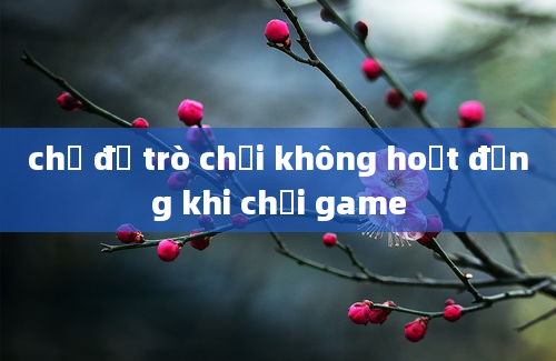 chế độ trò chơi không hoạt động khi chơi game