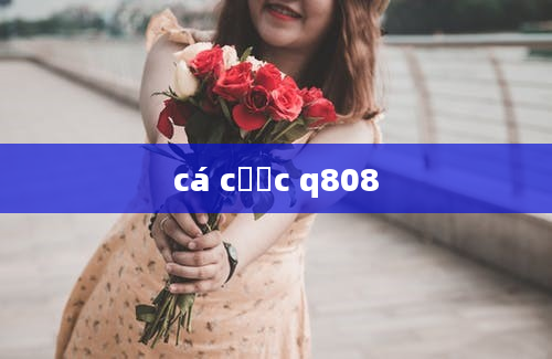 cá cược q808