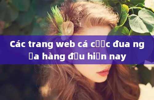 Các trang web cá cược đua ngựa hàng đầu hiện nay