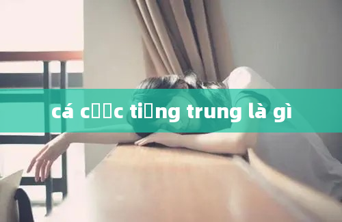 cá cược tiếng trung là gì