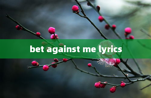 bet against me lyrics