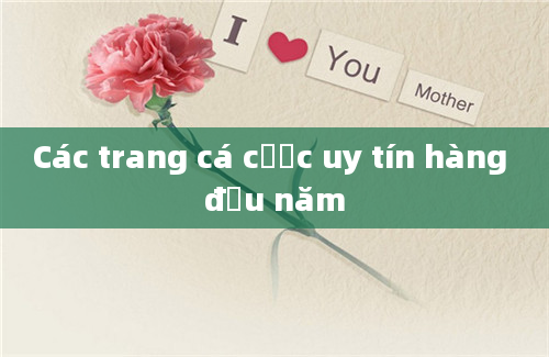 Các trang cá cược uy tín hàng đầu năm