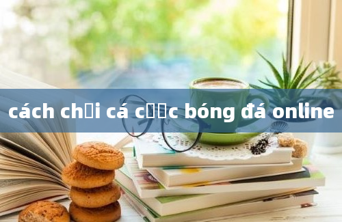 cách chơi cá cược bóng đá online