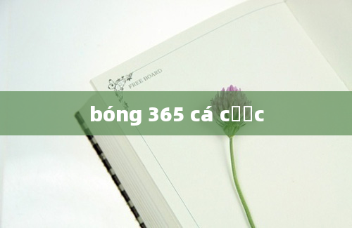 bóng 365 cá cược