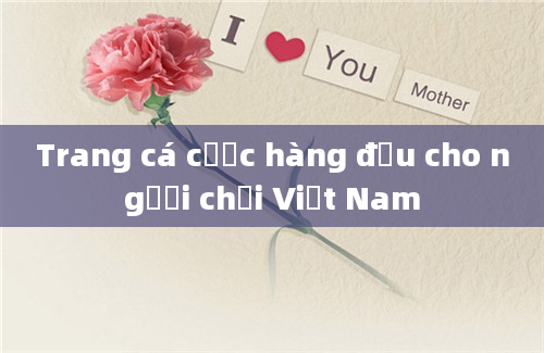 Trang cá cược hàng đầu cho người chơi Việt Nam