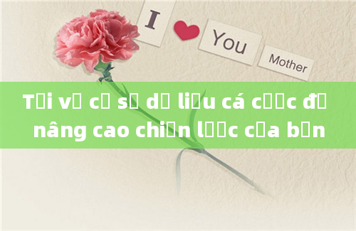 Tải về cơ sở dữ liệu cá cược để nâng cao chiến lược của bạn