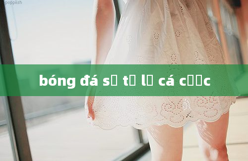 bóng đá số tỷ lệ cá cược