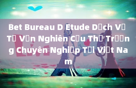 Bet Bureau D Etude Dịch Vụ Tư Vấn Nghiên Cứu Thị Trường Chuyên Nghiệp Tại Việt Nam