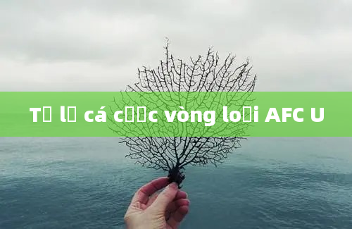 Tỷ lệ cá cược vòng loại AFC U