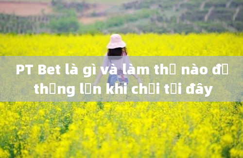 PT Bet là gì và làm thế nào để thắng lớn khi chơi tại đây