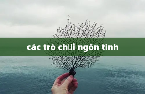 các trò chơi ngôn tình