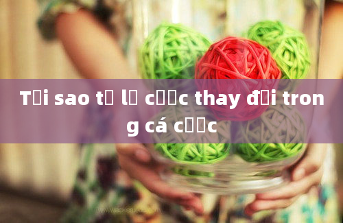 Tại sao tỷ lệ cược thay đổi trong cá cược