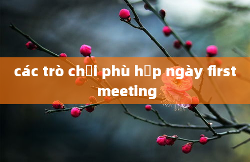 các trò chơi phù hợp ngày first meeting