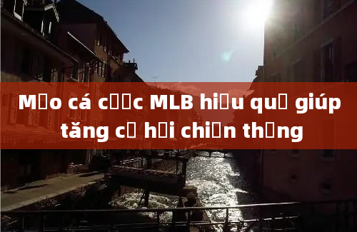 Mẹo cá cược MLB hiệu quả giúp tăng cơ hội chiến thắng