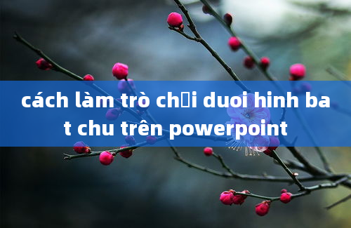 cách làm trò chơi duoi hinh bat chu trên powerpoint