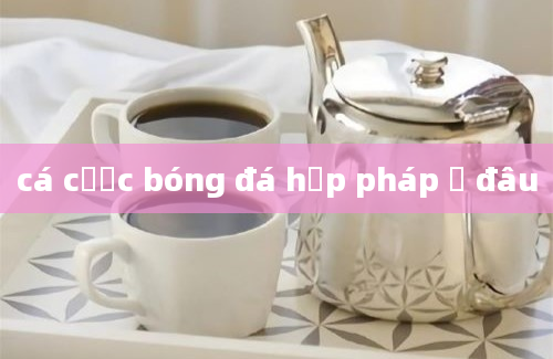 cá cược bóng đá hợp pháp ở đâu