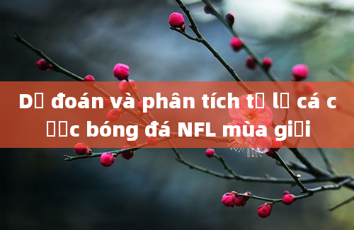 Dự đoán và phân tích tỷ lệ cá cược bóng đá NFL mùa giải