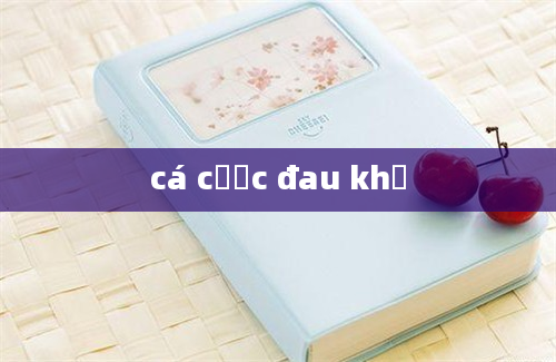 cá cược đau khổ