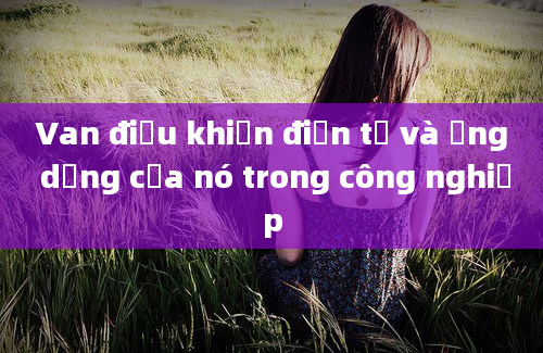 Van điều khiển điện tử và ứng dụng của nó trong công nghiệp