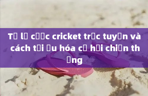 Tỷ lệ cược cricket trực tuyến và cách tối ưu hóa cơ hội chiến thắng