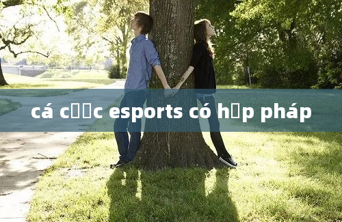 cá cược esports có hợp pháp