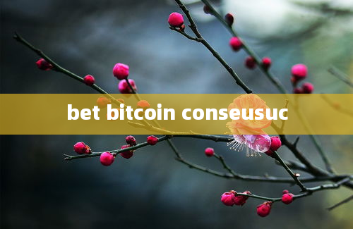 bet bitcoin conseusuc