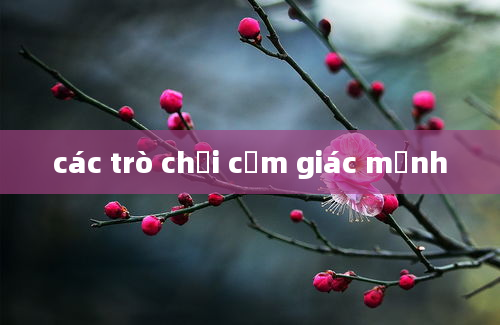 các trò chơi cảm giác mạnh