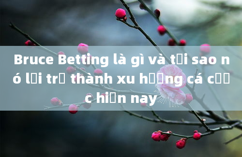 Bruce Betting là gì và tại sao nó lại trở thành xu hướng cá cược hiện nay