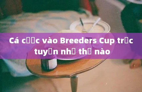 Cá cược vào Breeders Cup trực tuyến như thế nào