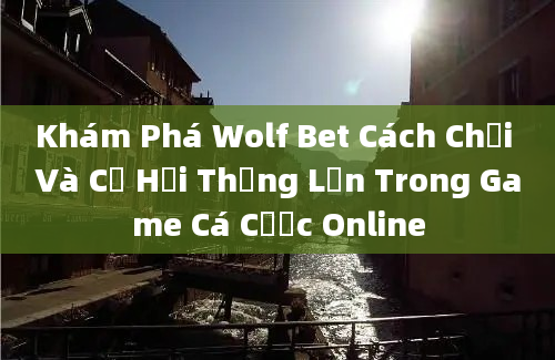 Khám Phá Wolf Bet Cách Chơi Và Cơ Hội Thắng Lớn Trong Game Cá Cược Online