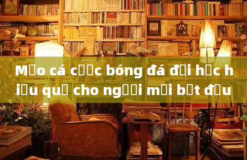 Mẹo cá cược bóng đá đại học hiệu quả cho người mới bắt đầu