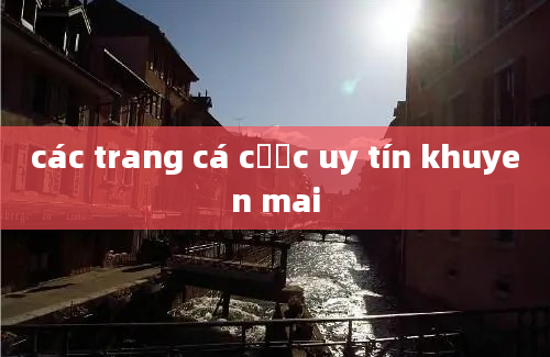 các trang cá cược uy tín khuyen mai