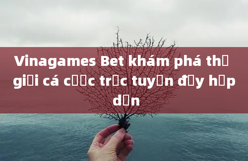 Vinagames Bet khám phá thế giới cá cược trực tuyến đầy hấp dẫn