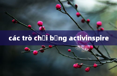 các trò chơi bắng activinspire