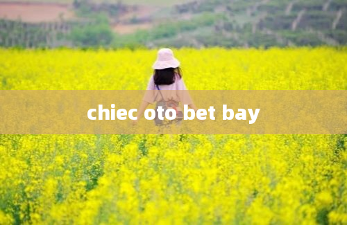 chiec oto bet bay