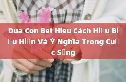 Dua Con Bet Hieu Cách Hiểu Biểu Hiện Và Ý Nghĩa Trong Cuộc Sống