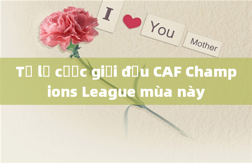 Tỷ lệ cược giải đấu CAF Champions League mùa này