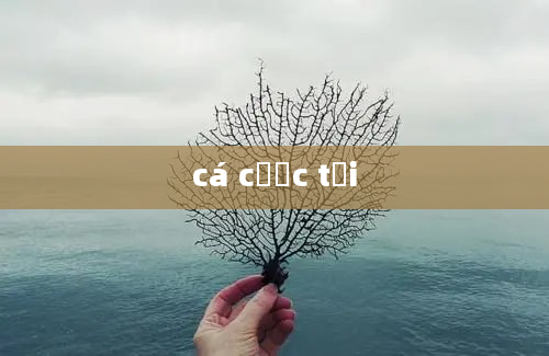 cá cược tại