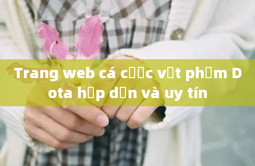 Trang web cá cược vật phẩm Dota hấp dẫn và uy tín