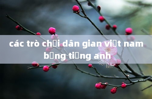 các trò chơi dân gian việt nam bằng tiếng anh