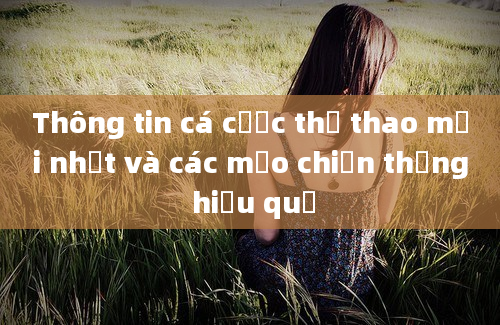 Thông tin cá cược thể thao mới nhất và các mẹo chiến thắng hiệu quả